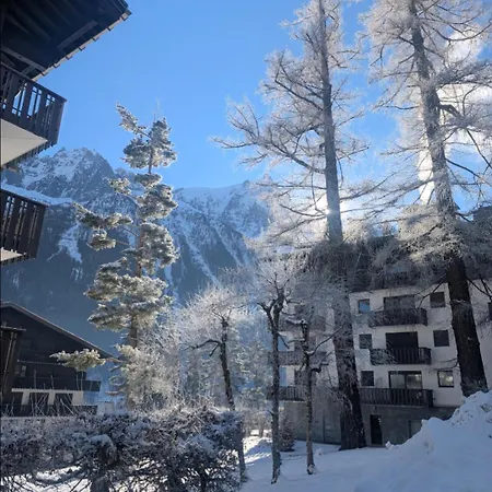 Au Petit Bois Appartement Chamonix