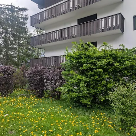 Au Petit Bois Apartment Chamonix